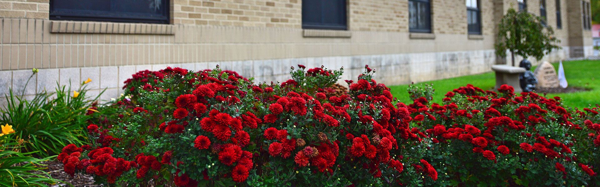 Cnp Flower Bed